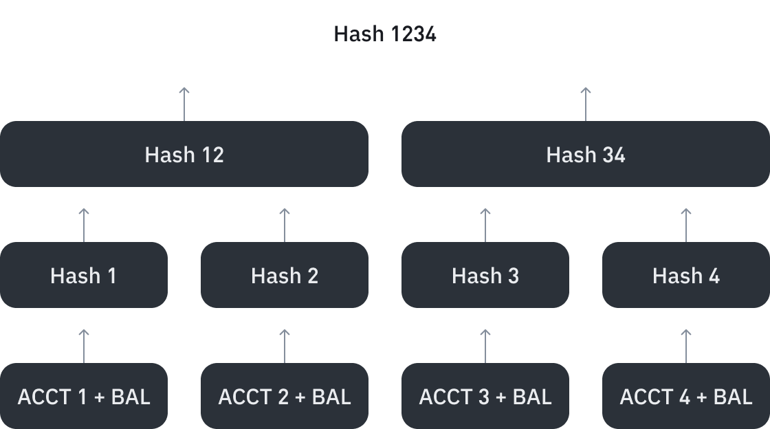 Account balances and hashes in a Merkle tree