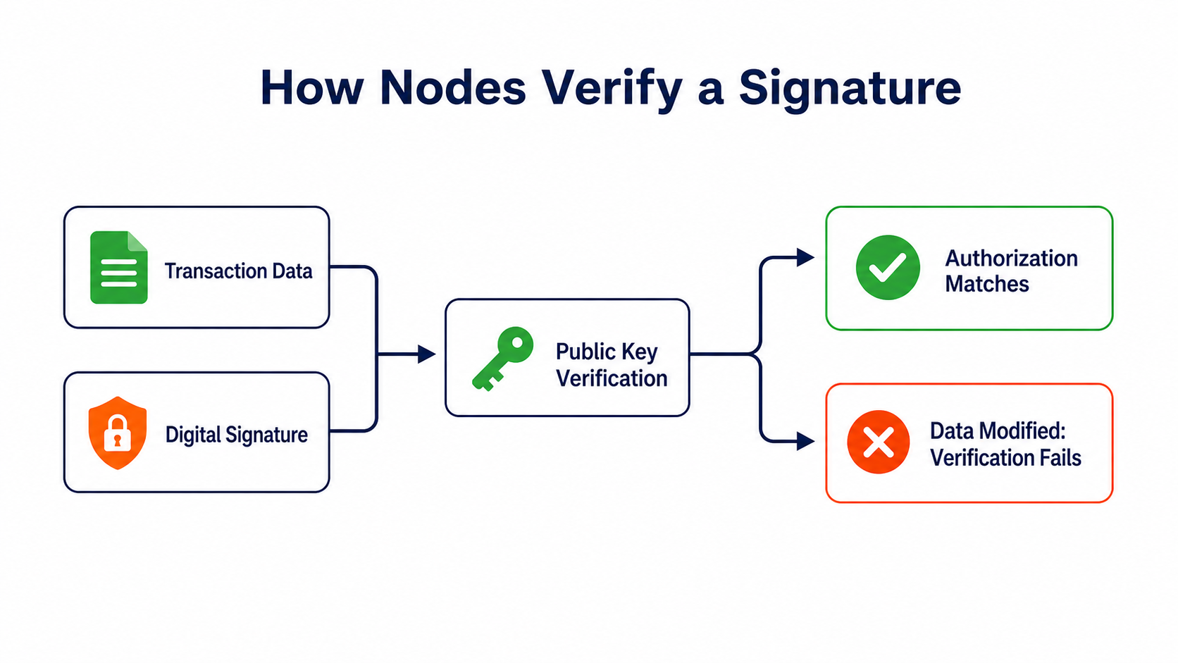 Blockchain signature verification: a transaction and signature are sent to nodes, which use the public key to check authorization and data integrity