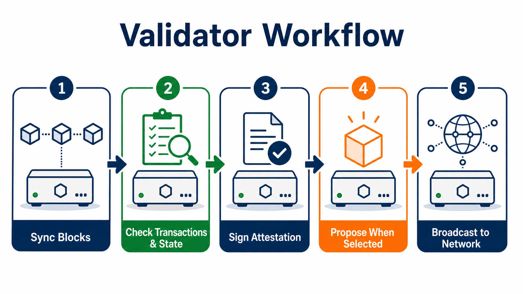 Validator workflow: sync blocks, check transactions and state, sign attestations, propose when selected, and broadcast to the network