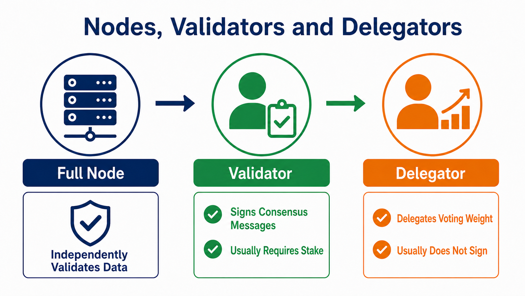 Differences among full nodes, validators, and delegators: independent verification, consensus signatures, and delegated voting weight