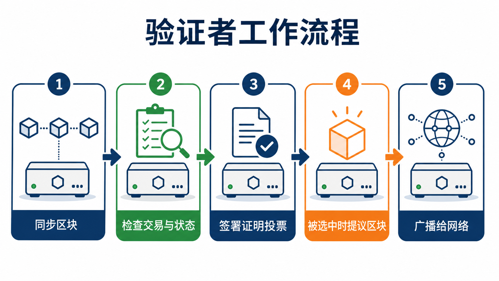 验证者工作流程:同步节点、检查交易和区块、提交证明投票、被选中时提议区块
