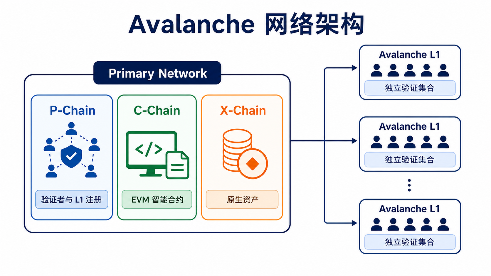 Avalanche Primary Network 的 P-Chain、C-Chain、X-Chain 與其他 L1