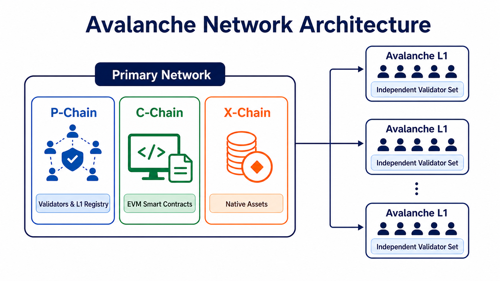 The P-Chain, C-Chain, X-Chain, and other L1s in the Avalanche Primary Network