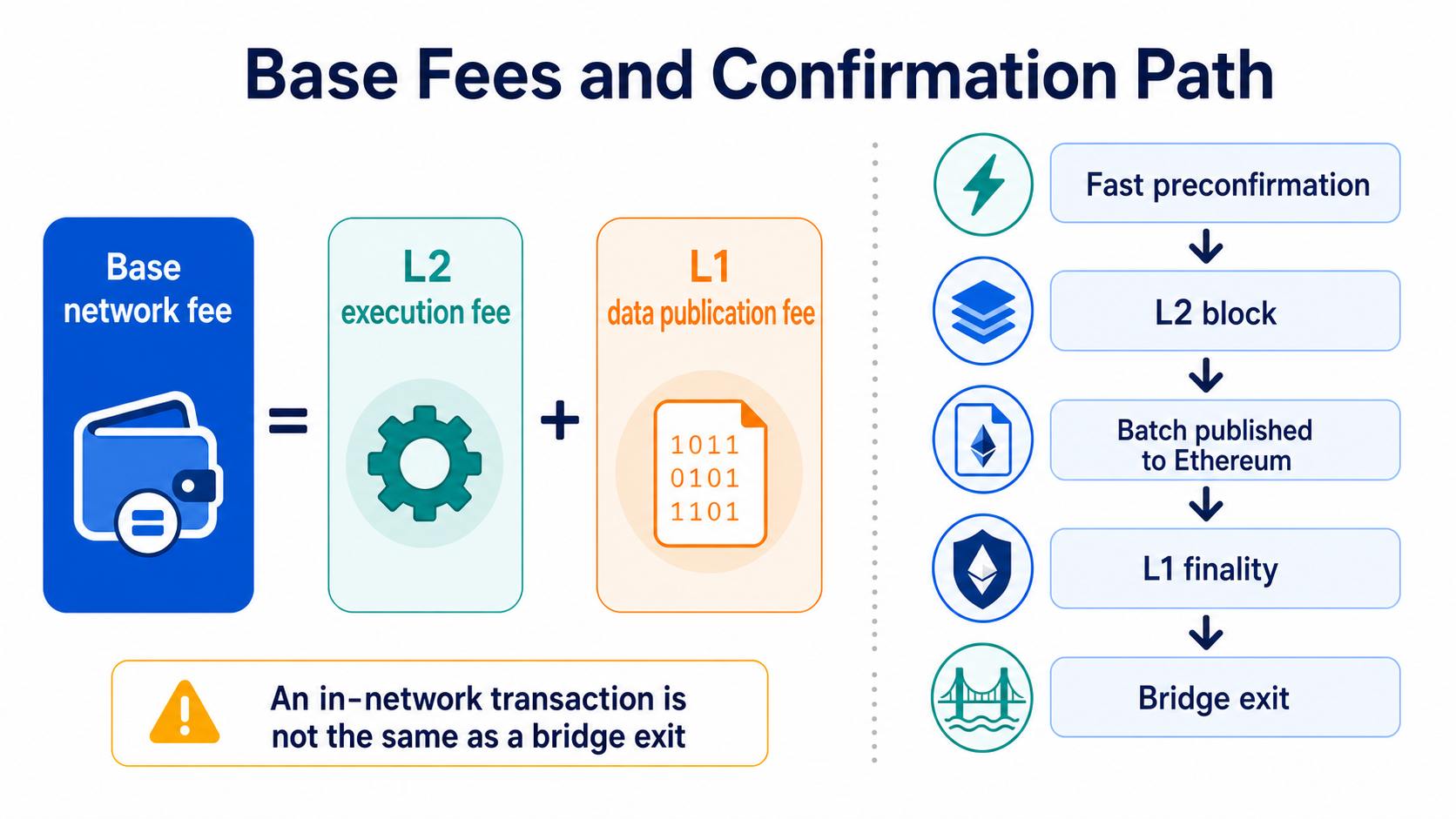 L2 execution fees, L1 data fees, and the confirmation and exit stages of a Base transaction
