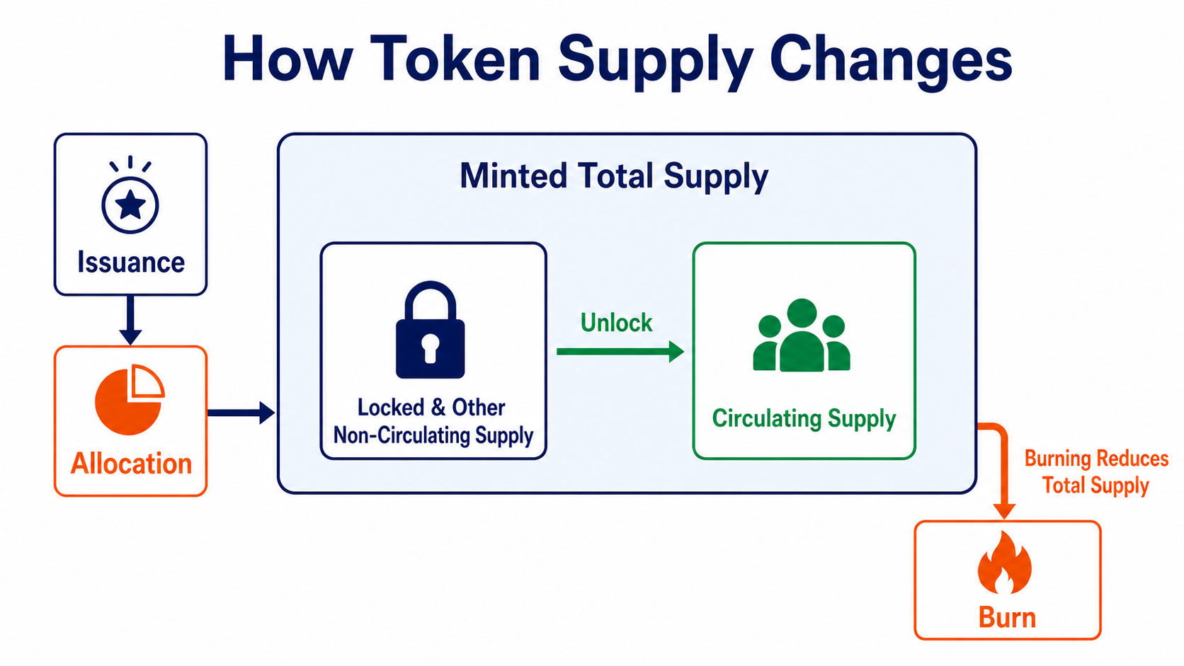 Token supply flow from minting and allocation through vesting, circulation, or burning