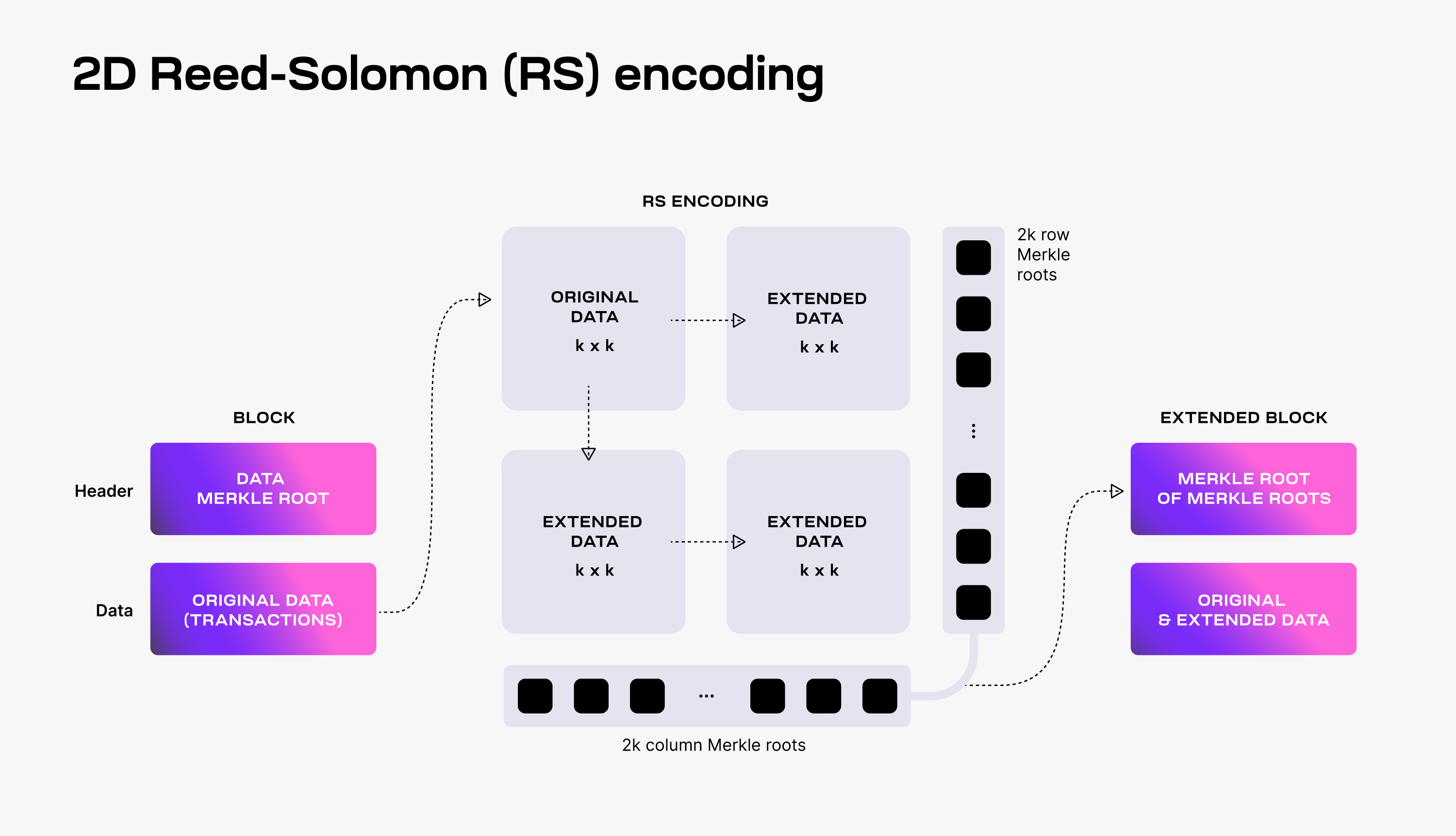 Celestia 2D Reed-Solomon encoding and extended data square